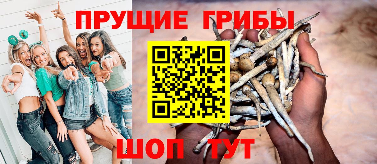 Боровичи  Псилоцибиновые грибы Cubensis  Галлюциногенные грибы мицелий  Вход с VPN 
