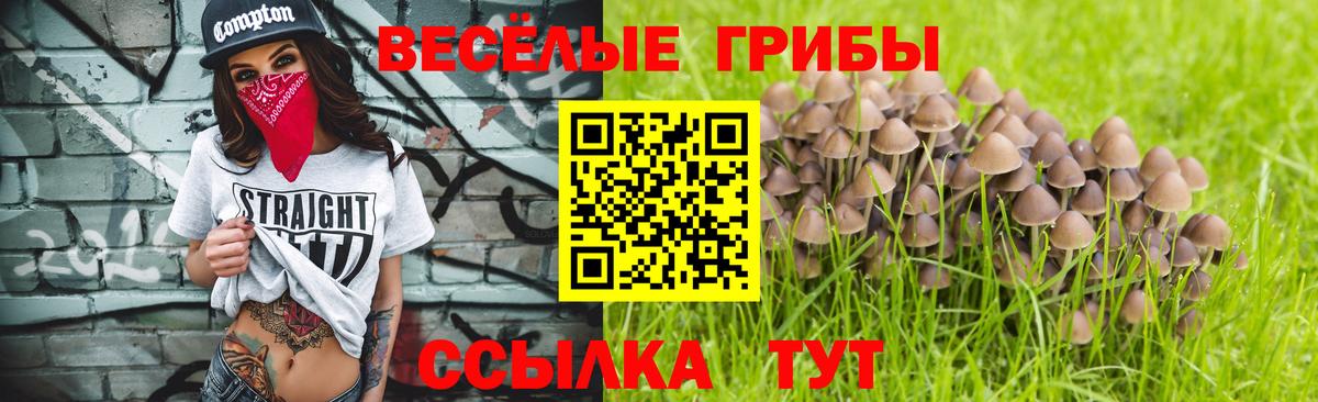 Галлюциногенные грибы MAGIC MUSHROOMS Боровичи